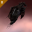 22456图标.png