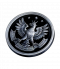 HawkCoin01.png