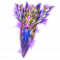 ArcaneShield01.png