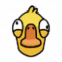 呆呆鸟.png
