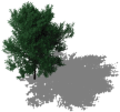 Green tree.png