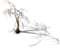 Dry hairy tree.png