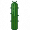 仙人掌图标.png