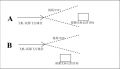 2025年6月22日 (日) 00:16版本的缩略图