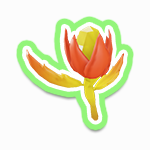 火焰花种子.png