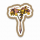白沙林地树.png