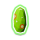 远古螳螂蛋.png