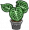 Home plant 2.png