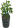 Home plant 4.png