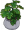 Home plant 3.png