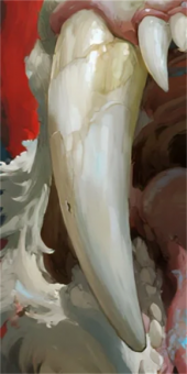 兽齿