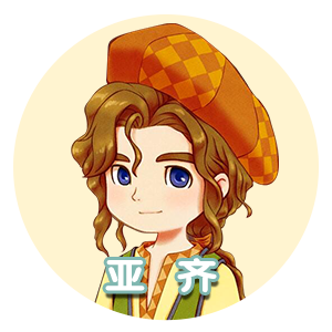 亚齐.png