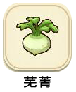 芜菁.png