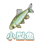 小型鱼.png