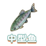 中型鱼.png