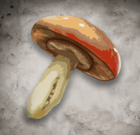 发光蘑菇.png
