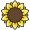 向日葵.png
