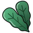 白萝卜.png