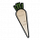 欧洲萝卜.png
