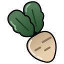 甜菜.png