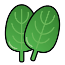 菠菜.png