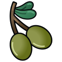 橄榄.png