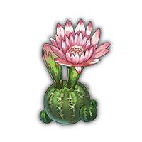 物品-仙人球.png