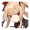诺忒娜