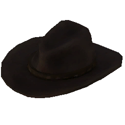 牛仔帽.png