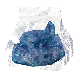一袋颜色鲜艳的排泄物.png