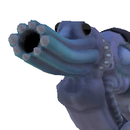 石龙子.png