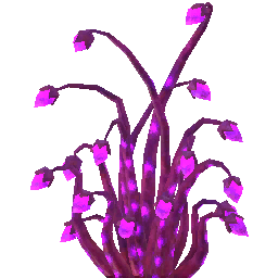 异界之光.png