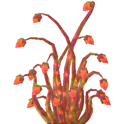 橙色异界之光.png