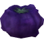 超级番茄.png