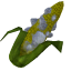 感染玉米.png