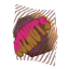 Doznuts.png