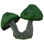 肉痈怪蘑菇.png