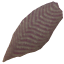 生的黑水鱼排.png