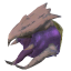 母种颅骨.png