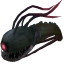 墨鱼.png