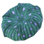 异界意大利面.png