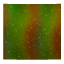烤制海苔片.png