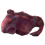 生的肉痈怪.png