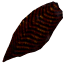 焦黑的黑水鱼排.png