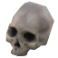 抛光的人类颅骨.png