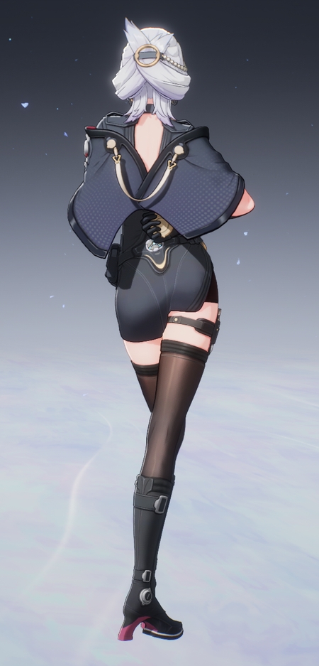 赫希黎皮肤-作战服 背面.jpg