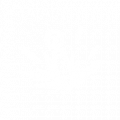 赫希黎技能图标1.png