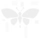 雪埋下的絮语.png