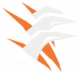 重爪击.png