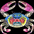 Pet flexagon crab 001.png